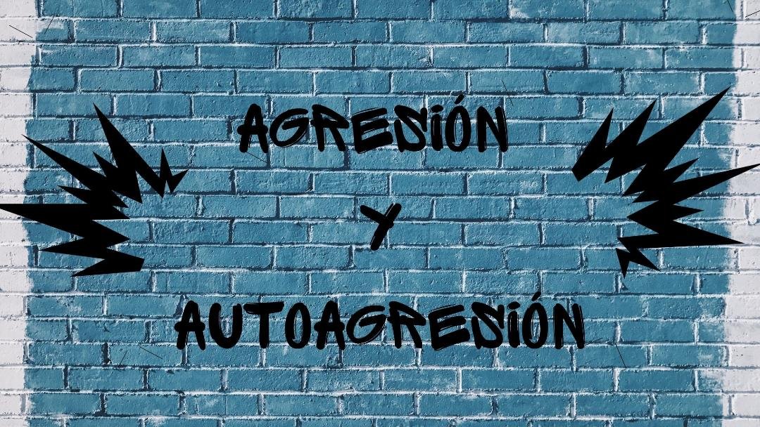 Agresión y autoagresión